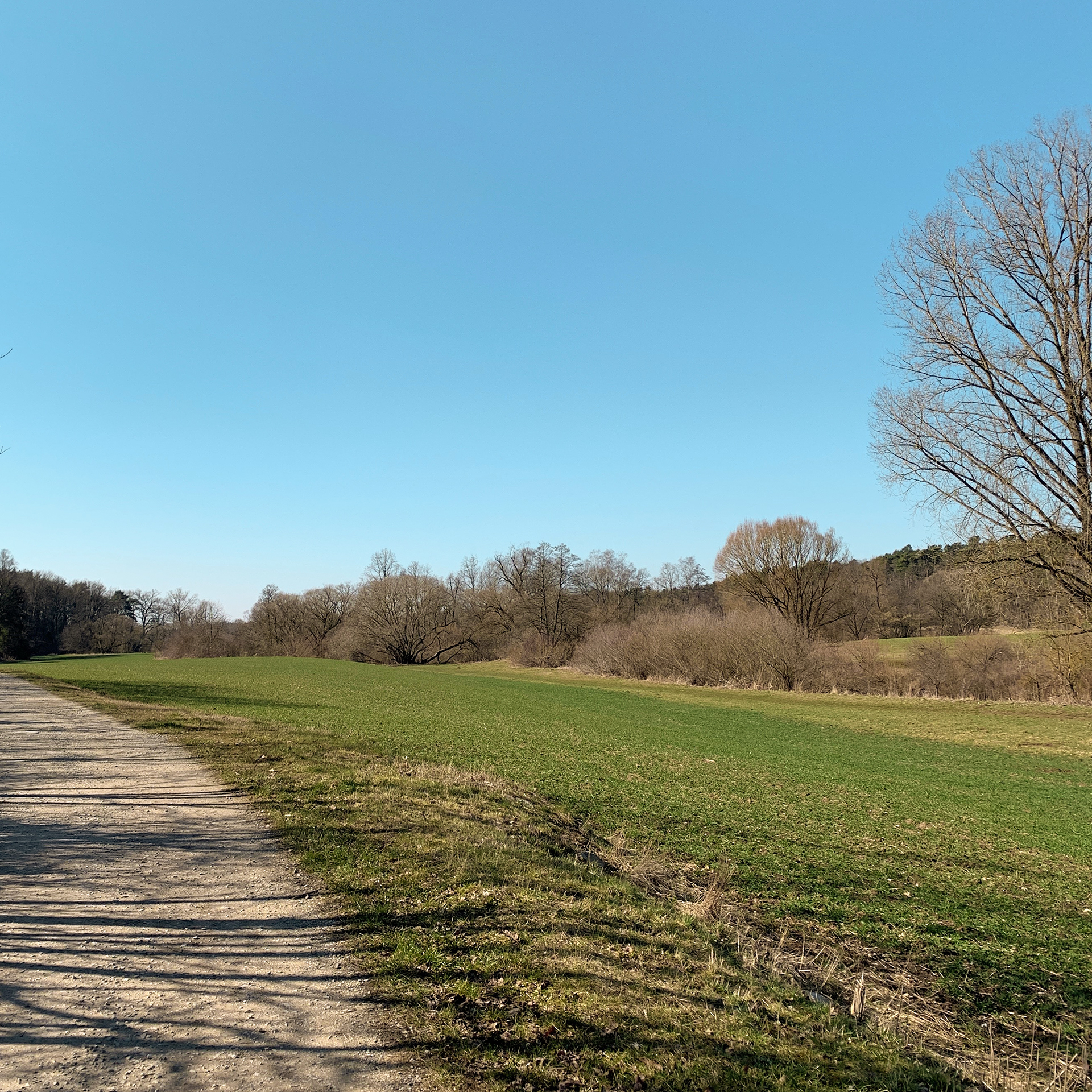 Spaziergang Mittagspause