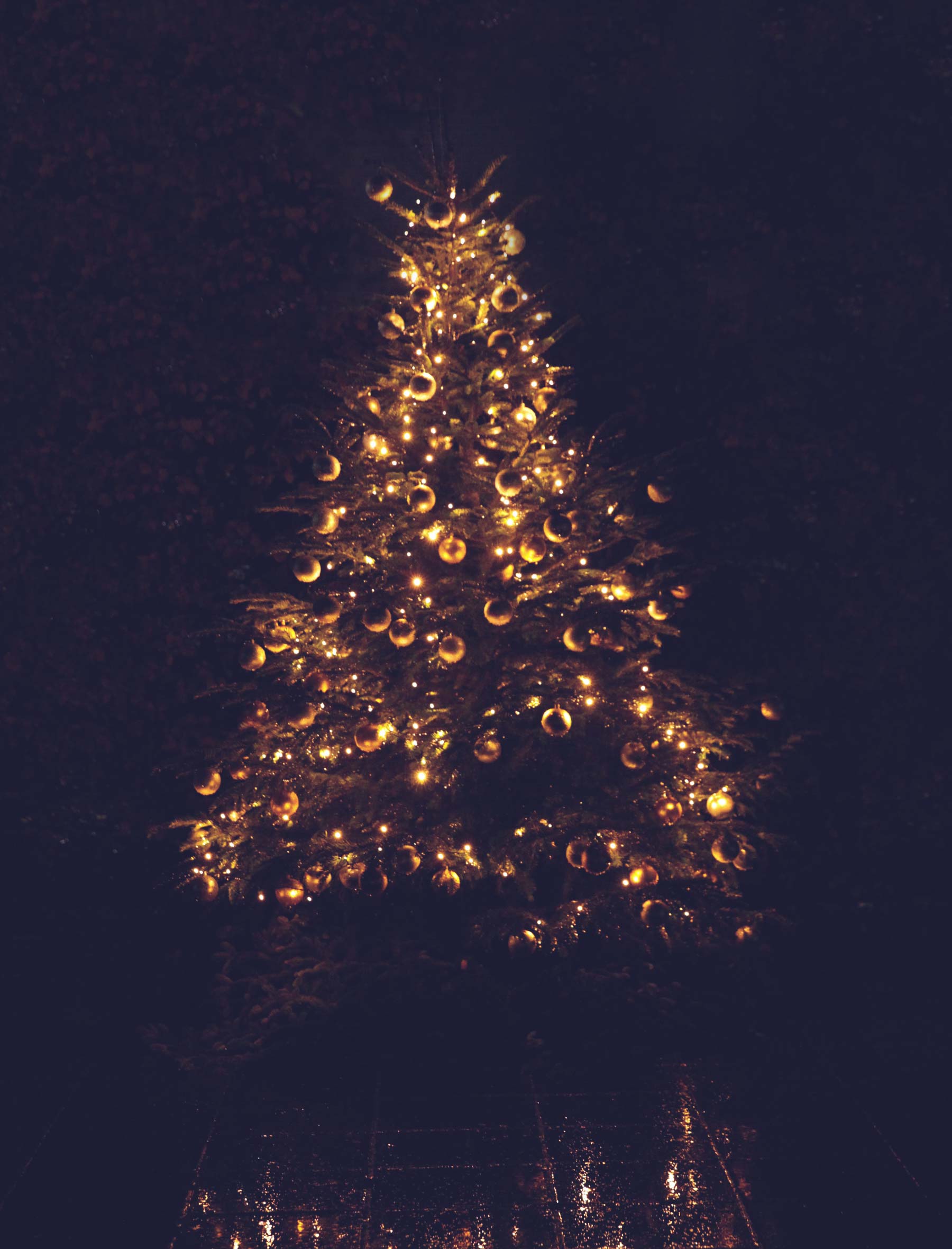 beleuchteter Weihnachtsbaum